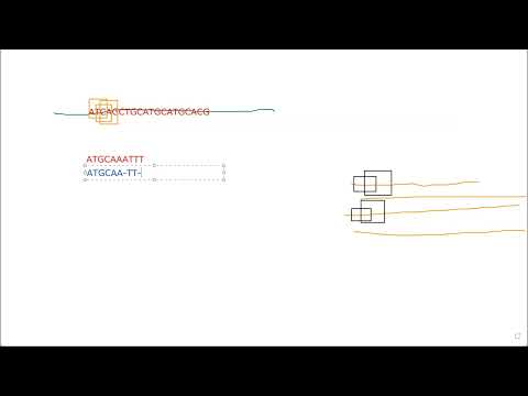 Видео: Биоинформатика ДНК, РНК и белков — семинар 5 (Коновалов Д.)