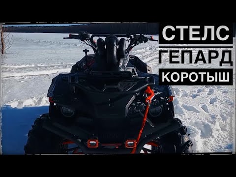 Видео: КОРОТКИЙ СТЕЛС ГЕПАРД™ | АНОНС ЭКСКЛЮЗИВНОГО ГЕПАРДА | ГЕПАРД КОРОТЫШ | SHORT STELS GUEPARD