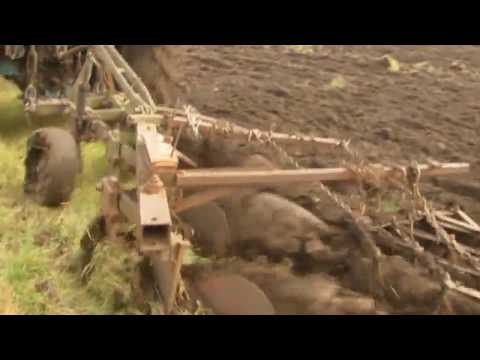 Видео: Осенняя пахота целины