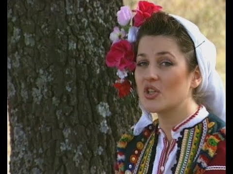 Видео: ПЕЯТ ГЕРГАНА И ДИМИТЪР ДИМИТРОВИ (2001)