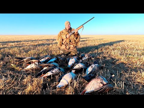 Видео: Охота на Гуся в Казахстане. Гусь прет дуром налет за налетом!!! ОХОТА 2025.