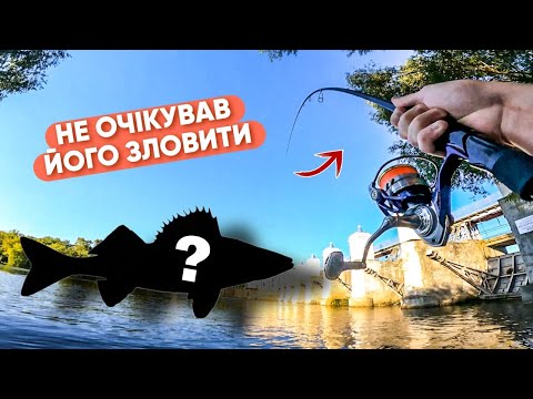 Видео: Шок! Таке клює у Вінниці 😲 Рибалка 2025