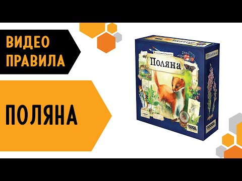 Видео: ПОЛЯНА — Видео правила настольной игры 🌲🌿🦔