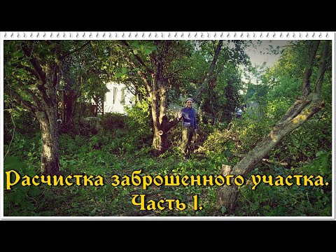 Видео: ЗАБРОШЕННАЯ ДАЧА. РАСЧИСТКА УЧАСТКА.  Часть 1.