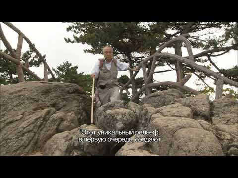 Видео: Гора Хуаншань Китая EP1【русская версия】