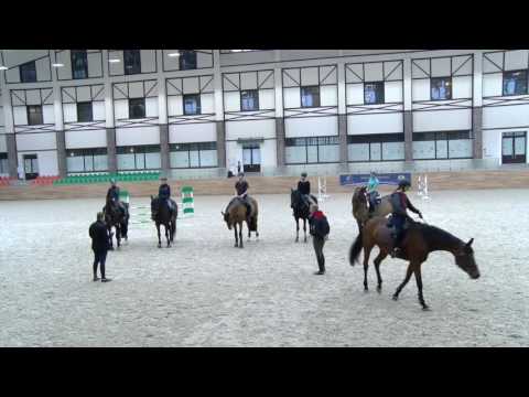 Видео: Видеоурок программы "Знания в регионы".Комментарии Владимира Белецкого.