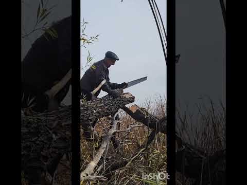 Видео: СЦЕНАРИИ ПИШЕТ САМА ЖИЗНЬ - 2. КАСКАДЁР!