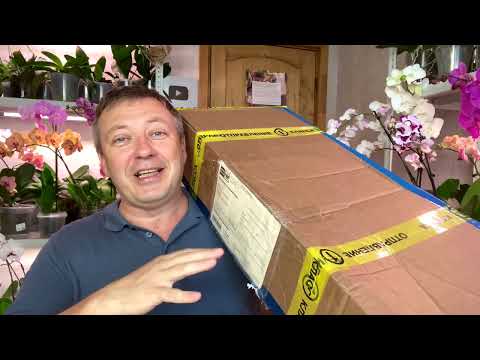 Видео: новые орхидеи без корней в посылке БУДЕТ РЕАНИМАЦИЯ РЕДКИХ и ДОРОГИХ орхидей