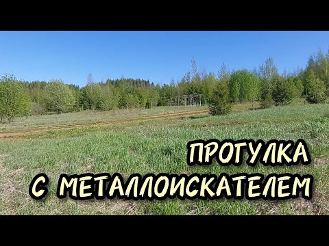 Видео: Прогулка с металлоискателем TX 850 с хорошим результатом и находками