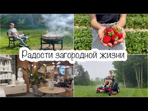 Видео: VLOG🇨🇦: Жизнь на 4 гектарах🏡 Клубничная ферма🍓В поисках ковра🧐