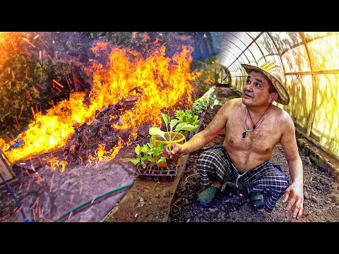 Видео: ДЕРЕВЕНСКИЕ БУДНИ - СЕРЕГА ЧУТЬ НЕ СПАЛИЛ УЧАСТОК