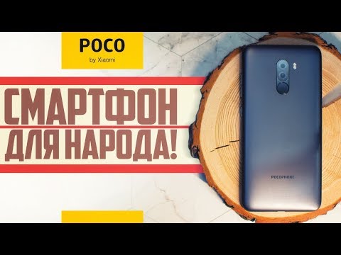 Видео: Pocophone F1 — стоит ли его брать сейчас? Спустя полгода использования. Обзор.