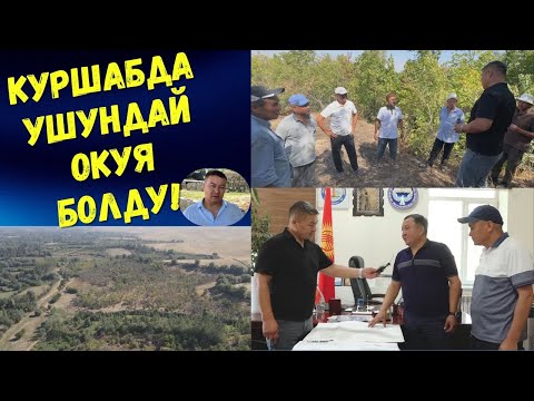 Видео: КУРШАБДА УШУНДАЙ ОКУЯ БОЛДУ!