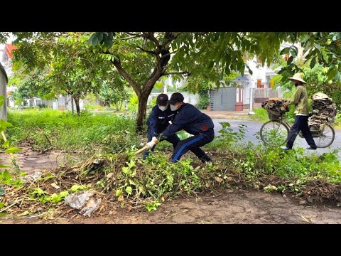 Видео: Очистка тротуаров, заброшенных годами, заросших сорняками и опасными иголками