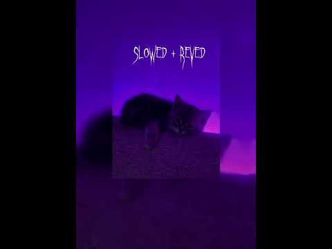 Видео: Дарья  джус,slowed+rewed