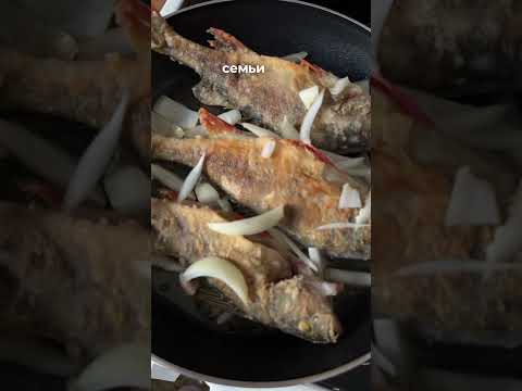 Видео: Один из лучших туров по Байкалу #байкал