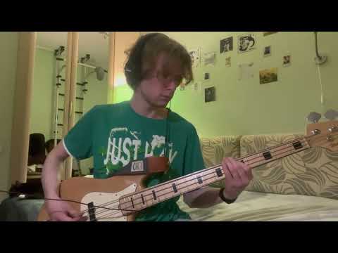 Видео: конец солнечных дней - оставь все сомнения! (bass cover)