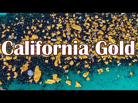 Видео: Дать волю золотой лихорадке: охота никогда не заканчивается
