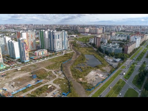 Видео: Следы древнего моря в Приморском районе Петербурга