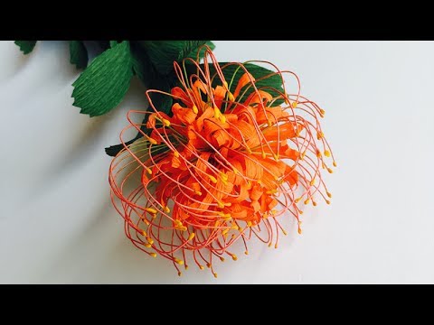 Видео: ABC TV | Как сделать цветок бумаги Tulipa Tarda из крепированной бумаги - учебник по ремеслу