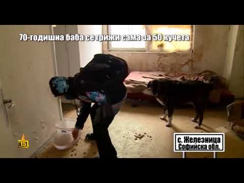Видео: Шефът на Екоравновесие обеща да помогне на баба Люси, която се грижи сама за 50 кучета