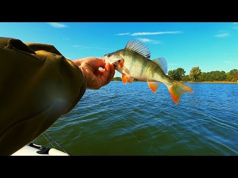 Видео: Рыбалка в Голландии. ( Angeln in Holland.)