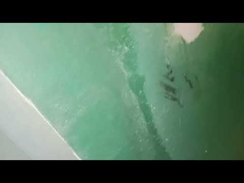 Видео: Мой выключили с открытыми дверями без света 2 часть 