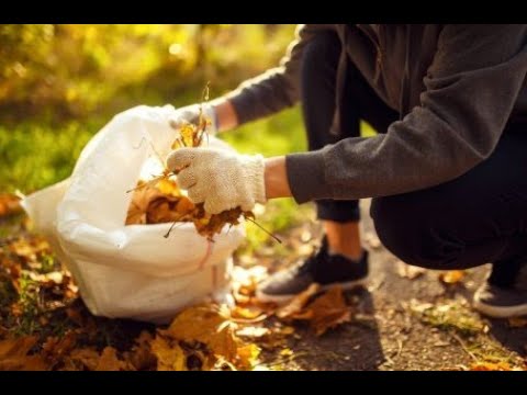 Видео: ОКТЯБРЬ. ДАЧНЫЕ РАБОТЫ. РЕМОНТ БЕСЕДКИ. БЫСТРАЯ ПОСАДКА ЧЕСНОКА И МАЛИНЫ.