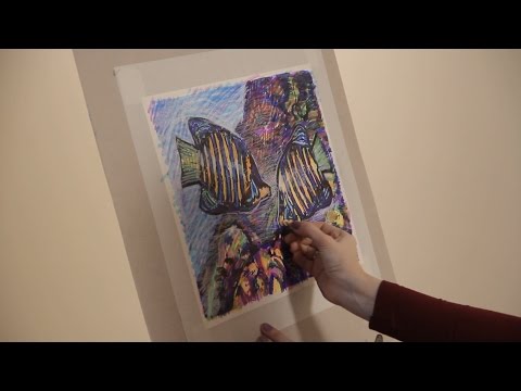 Видео: «Уроки рисования». Обитатели Красного моря (9.12.2016)