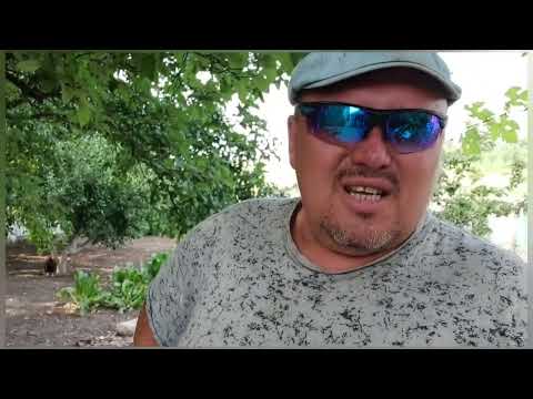Видео: Варенье из зелёного грецкого ореха мой рецепт улучшил