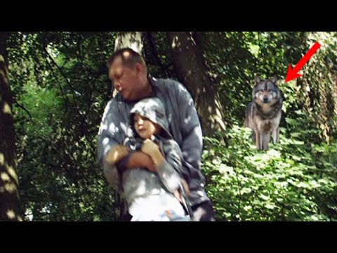 Видео: Уголовники захватили деревенского мальчишку и стали требовать денег. Но они не знали про волка