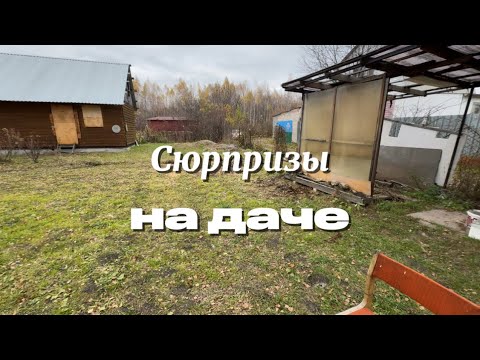 Видео: 12. Всегда мечтала о елках и соснах на моей #заброшеннаядача 
