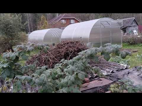 Видео: Почему парники растут как грибы🤔