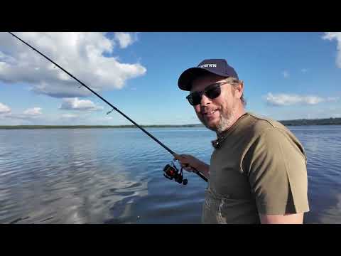 Видео: Жерех, окунь, щука. Клюёт почти на каждом забросе. Рыбалка без эхолота и навигатора.
