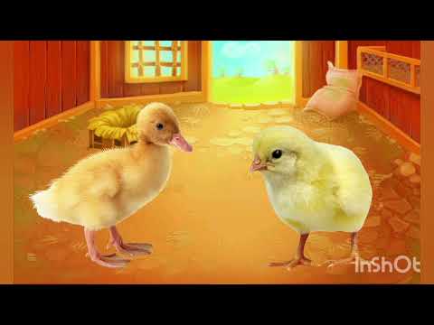 Видео: "Цікаві досліди з пір'ям"