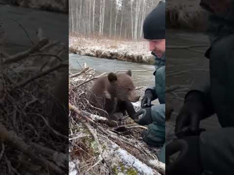 Видео: Терпи малыш... будет не больно... ❤️