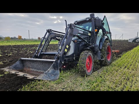 Видео: 6 ноября 2025 г.