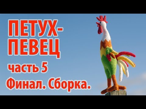 Видео: 😻 Петух певец крючком часть 5 - финал 😻