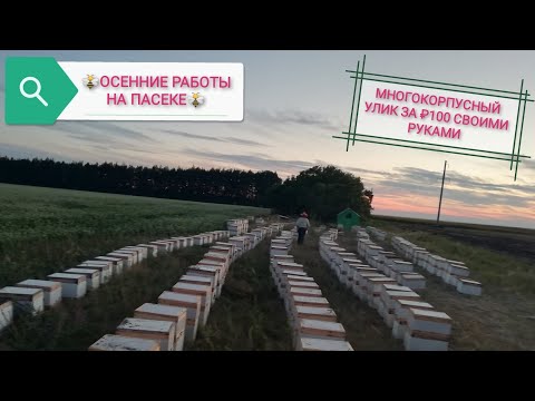 Видео: Ульи из Пенопласта. ЧТО СТАЛО ЗА ГОД. Омшанник.