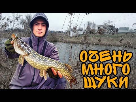 Видео: Щучье ЭЛЬДОРАДО!!! УЛЬТРАЛАЙТ звенит от этих ПОКЛЕВОК!!!!