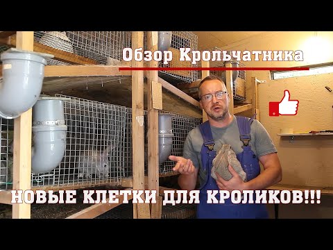 Видео: Новые клетки для кроликов! Обзор крольчатника