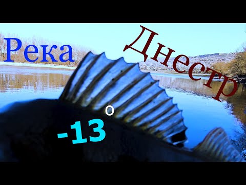 Видео: ДНЕСТР 17 января!!! ловля ОКУНЯ на малька!