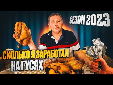 Видео: Гуси-сезон 2023. Подведение итогов. "Мое Подворье"