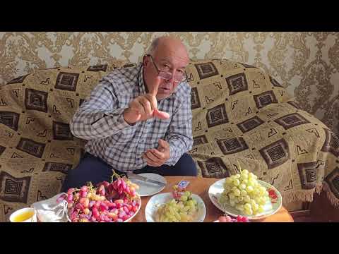 Видео: +992988305999  ватсап.  9 намуд ангурҳои ҳавлии ман.