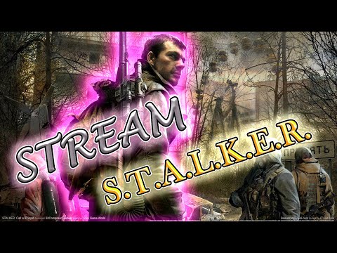 Видео: Играем в S.T.A.L.K.E.R. ЗОВ ПРИПЯТИ (SGM 2.2 + Gunslinger)