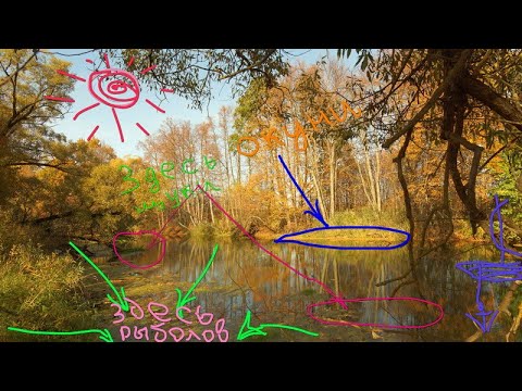 Видео: Спиннинг на малых реках.