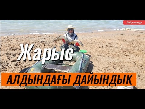 Видео: Жарысқа дайындық жақсы өтті || Шардара 2023 || Старый локатор