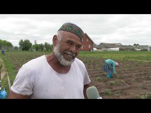 Видео: Олыяз авылында яшәүче үзбәк гаиләсе турында