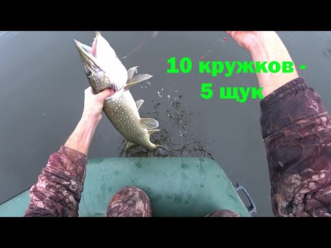 Видео: ВОТ ЭТО ПОВЕЗЛО, ЛОВЛЯ ЩУКИ НА КРУЖКИ ПОЗДНЕЙ ОСЕНЬЮ, ЛУЧШАЯ ОСНАСТКА!
