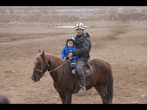 Видео: Тобокел агабыздын улагы